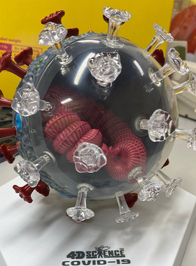 4D Master新冠病毒 拼装模型 冠状病毒细胞解剖教具50片COVID19