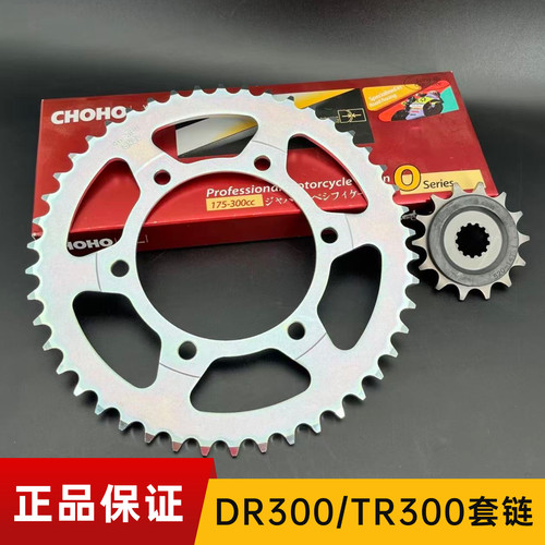 适用豪爵TR300 DR300 DR250大小牙盘链轮套链金色油封链条三件套