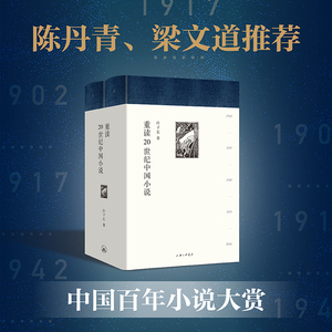 正版 许子东 重读20世纪中国小说 精装二册 跟许子东读100年的小说书供我们探索20世纪文学的地图新编文学史理想国
