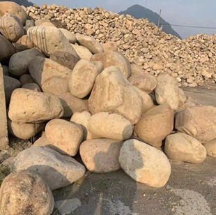 福建广东大型河滩石天然河卵石溪流石老山石庭院工程驳岸鹅卵石