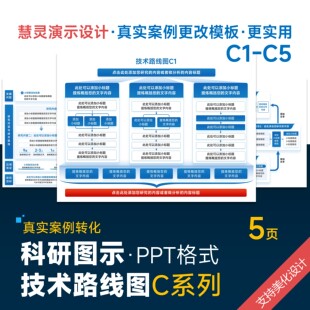 科研图示技术路线图PPT模板素材设计美化排版制作润色