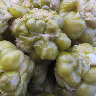 涪陵特产原味全型榨菜头2500g优质圆形榨菜整箱下饭咸菜腌制榨菜