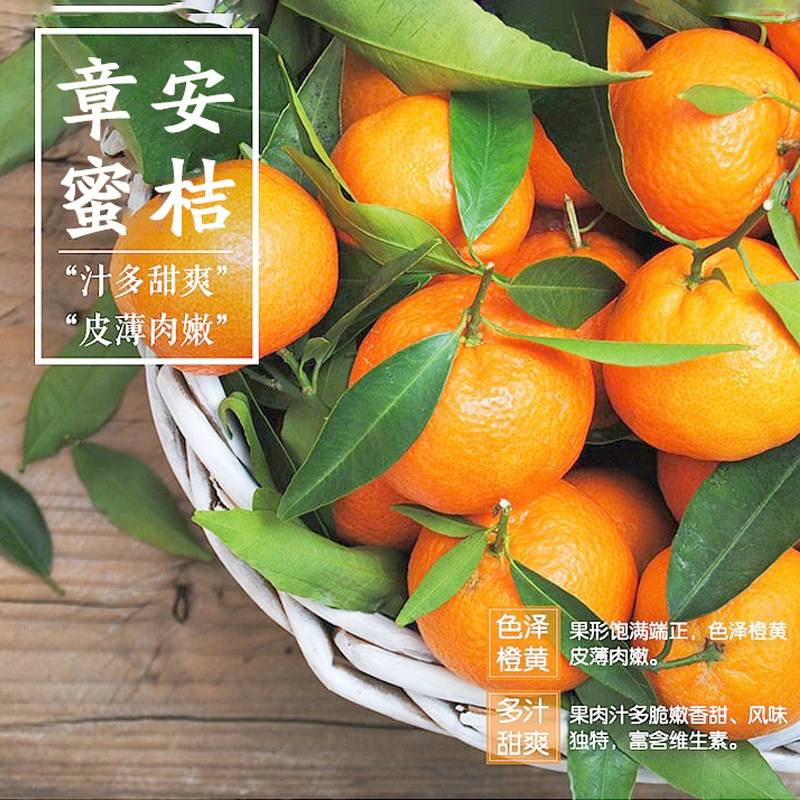 山地早熟宫川当季新鲜水果甜桔子,水产肉类/新鲜蔬果/熟食,桔子,淘宝优惠券,粉丝福利购,淘宝优惠卷