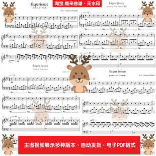 Experience-Ludovico Einaudi 共23个版本 钢琴谱 PDF电子格式