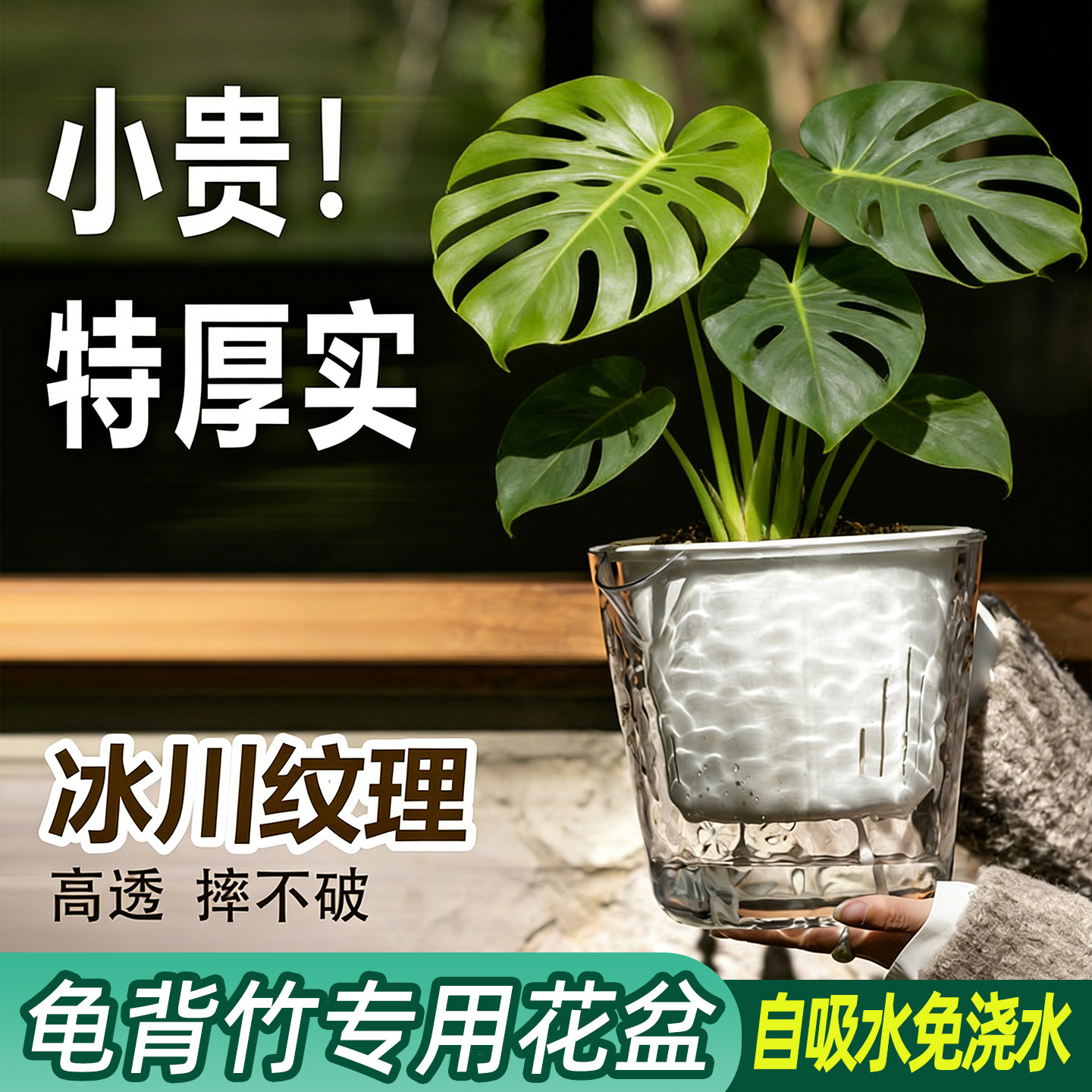 龟背竹专用大口径透气树脂花盆图片