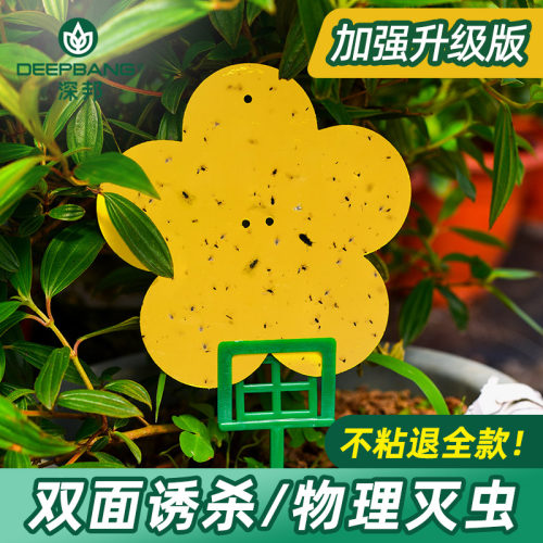 粘虫板黄色果蝇大棚园艺