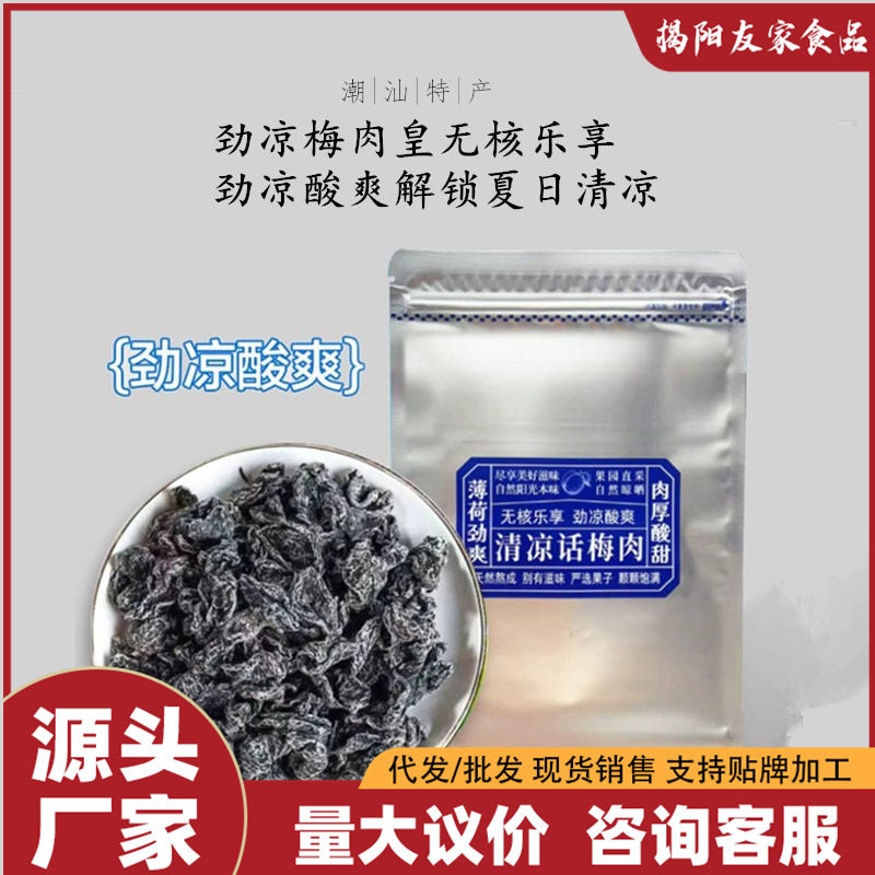 劲凉梅肉皇潮汕风味薄荷话梅肉果脯果干清爽开胃解腻老人儿童解馋,零食/坚果/特产,梅类制品,淘宝优惠券,粉丝福利购,淘宝优惠卷