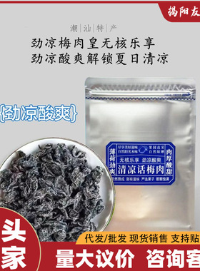 劲凉梅肉皇潮汕风味薄荷话梅肉果脯果干清爽开胃解腻老人儿童解馋