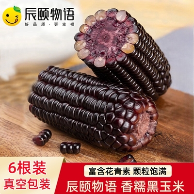 辰颐物语紫糯玉米黑玉米真空香软糯新鲜应季新鲜蔬菜现摘