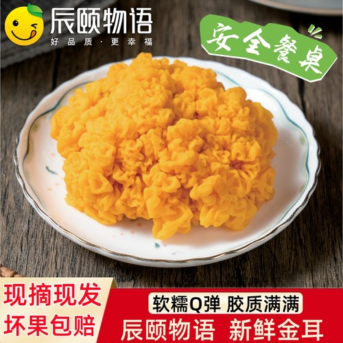 辰颐物语新鲜金耳银耳银珥福建古田白木耳非干银耳孕童银耳莲子羹