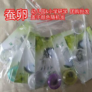 蚕卵20粒蚕种蚕籽蚕宝宝三年级学生科学课实验用品养蚕套装宠物蚕