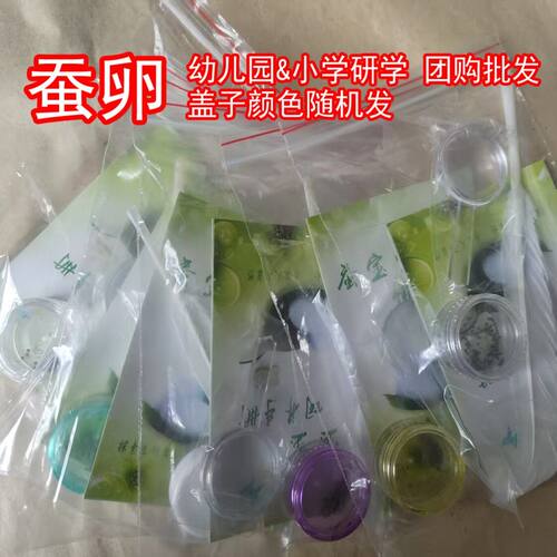 蚕卵20粒蚕种蚕籽蚕宝宝