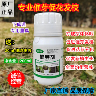 果树发枝素抽枝宝催芽剂苹果猕猴桃苗木花卉花芽素细胞分裂素包邮