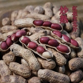 25年新货炒熟带壳红花生 东北特产农家自产红衣小花生原味散装 5斤