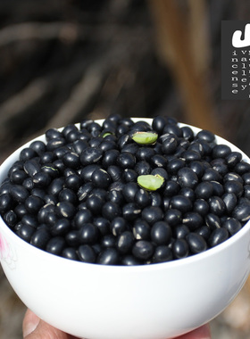 25年新货东北铁岭 农家自产黑豆天然小粒绿芯清仁小黑豆粗粮 杂粮