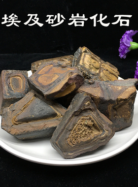 砂岩化石天然奇石造型石图腾化石