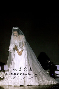 韩式新款新娘结婚柳岩硬纱婚纱