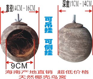 椰子壳鸟窝超大椰壳窝工艺品八哥鹦鹉仓鼠宠物窝食盆 包邮