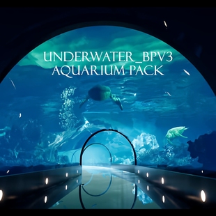 For UE5虚幻5 Pack Aquarium UE5水族馆海底 Underwater_BPV3