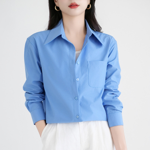 空气感职业通勤微宽松长袖 高级感蓝色法式 衬衣女 可穿衬衫 四季