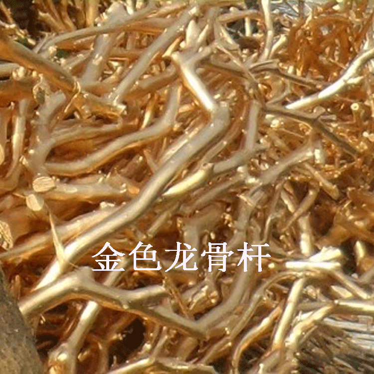 天然装饰树枝龙骨杆枯树枝干树枝衣架花艺仿真树假树摄影摆件道具图片