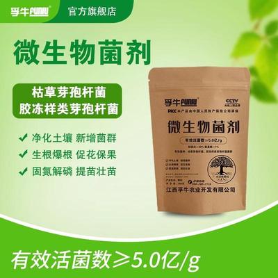 孚牛高蛋白有机肥料花果菜农用