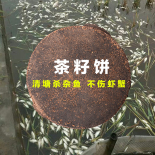 苦茶粕虾蟹养殖清塘茶枯茶籽饼茶麸杀杂鱼泥鳅黄鳝福寿螺黑鱼5斤