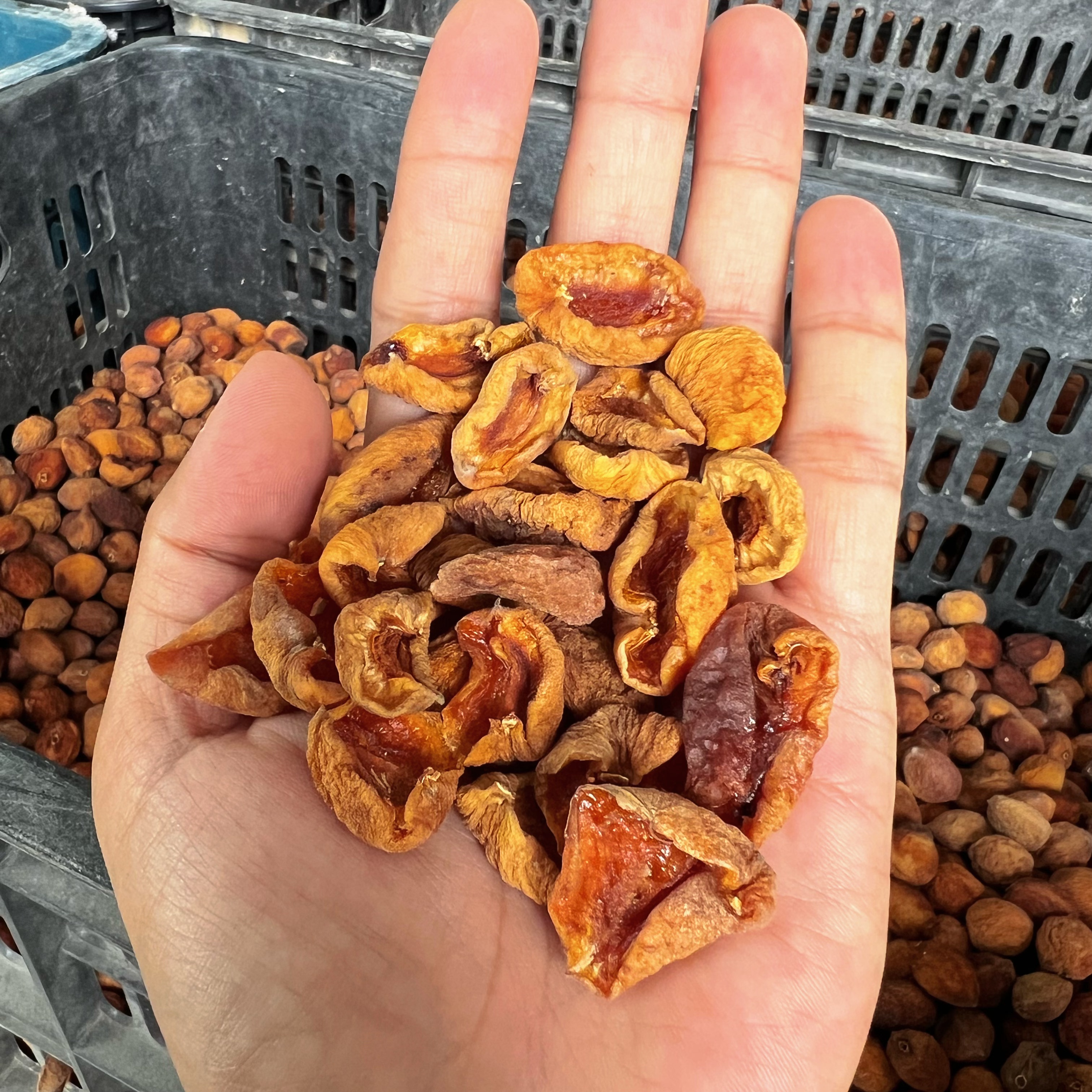 新疆杏皮子 自家自然晾干原色未清洗杏干肉 500g 原生态酸甜口感