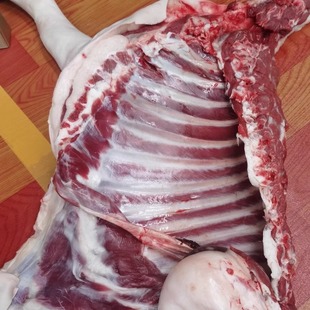 正宗海门本地山羊肉红烧羊肉带皮带骨当天现杀新鲜羊腿羊排羊蹄