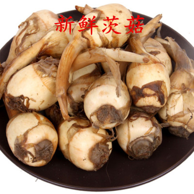 海门农家现挖白茨菇新鲜白慈姑马蹄荸荠大小果燕尾菇粉糯时令蔬菜