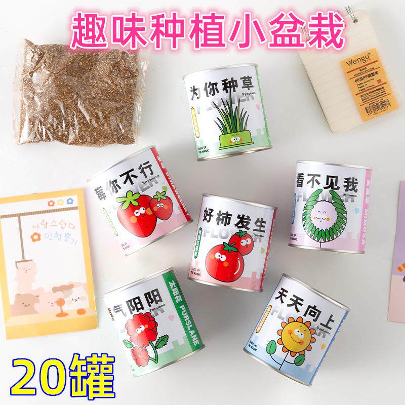 儿童DIY种植小盆栽创意桌面绿植