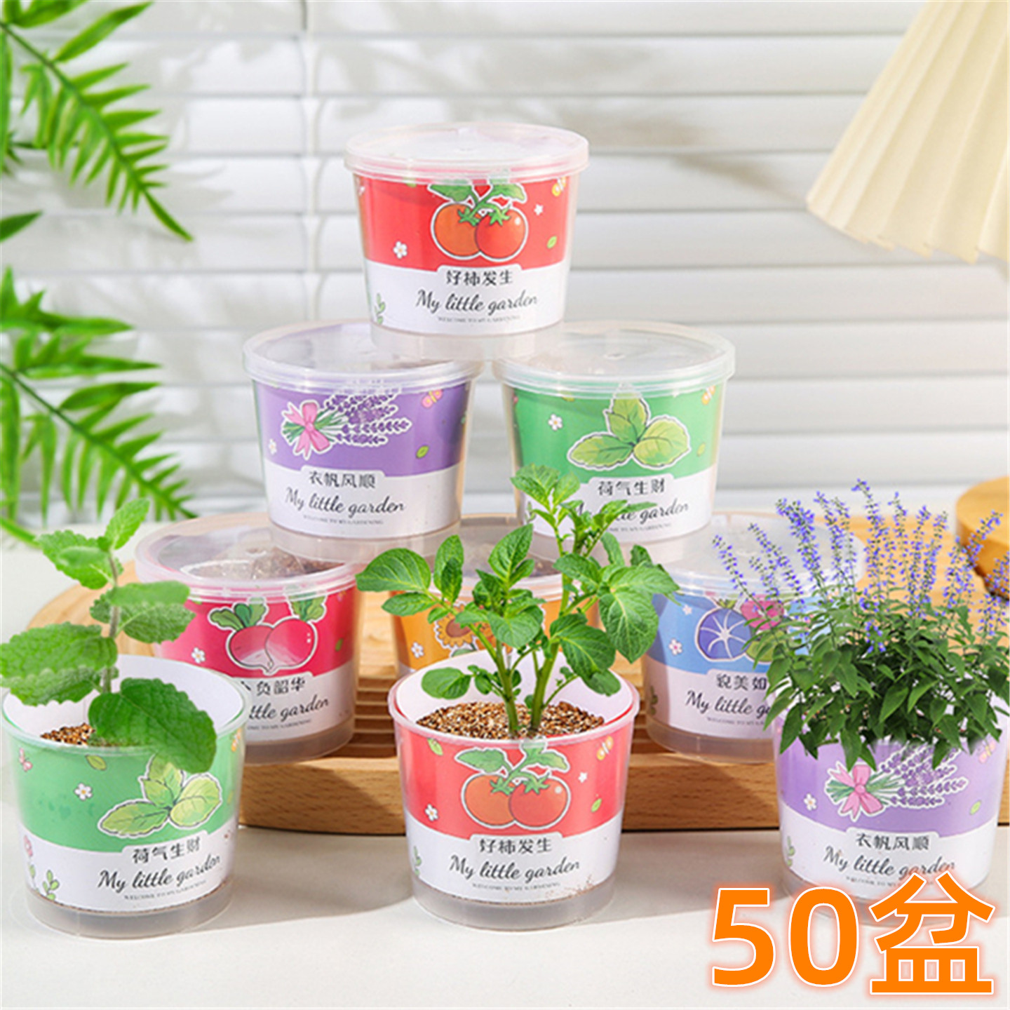 儿童创意卡通种植小盆栽