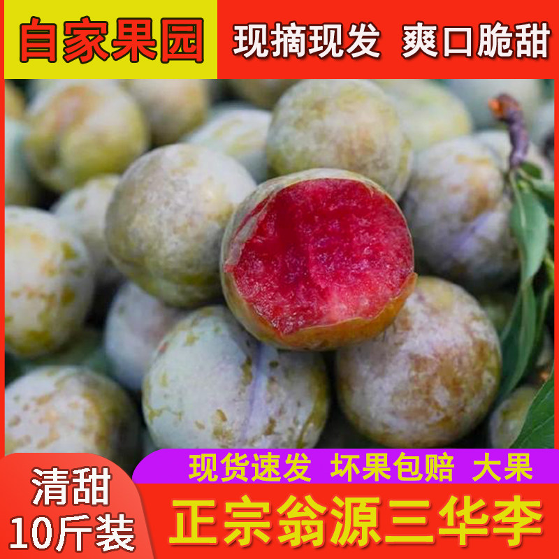 翁源三华李红心大果韶关广东包邮