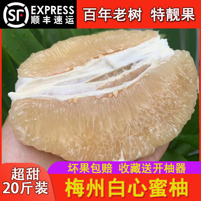 现货速发梅州白心蜜柚高山老树柚