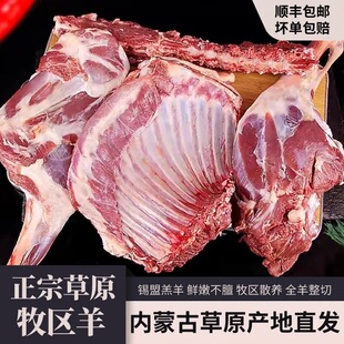 内蒙古锡林郭勒草原牧区羊排羊腿羊蝎子半羊全羊