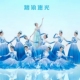 现代舞蹈 变装 新版 时代浪潮象山水月开场舞大摆裙演出服歌伴舞新款