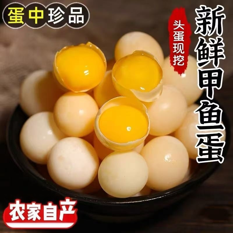 【精品大蛋顺丰】新鲜食用甲鱼蛋原生态土鳖团水鱼王八蛋宝宝辅食