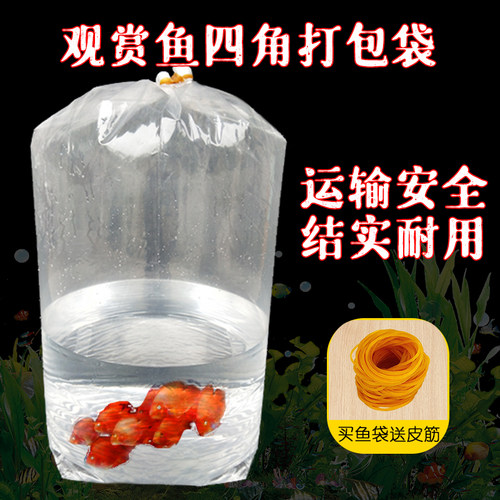 观赏鱼打包袋鱼苗四角运输塑料