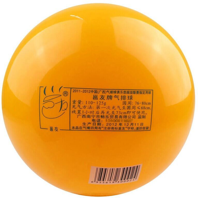 Ballon de volley - Ref 2011412 Image 3