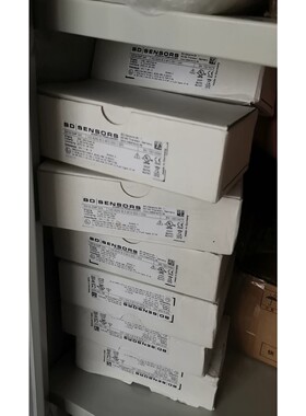 德国 BD SENSOR  DX19DMP343 100咨询维修咨询维修