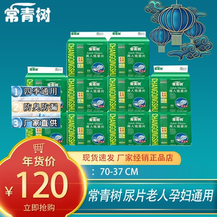 常青树老人纸尿片L大号120片加长葫芦型老年人产妇男女通用整箱