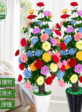 仿真绿植室内大型绿色落地客厅装饰假花盆栽商场造景仿生植物盆景