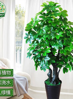 假树仿真树大型装饰盆栽室内发财树落地绿植盆景假花塑料仿真植物
