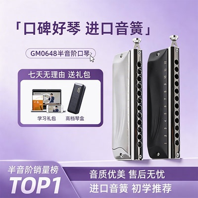 嘉德瑞半音阶口琴专业演