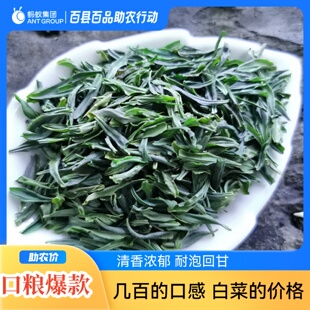 新茶粗茶片开化龙顶绿茶雀舌特级明前嫩叶高山茶开化茶耐泡口粮茶