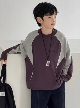 男童长袖T恤春秋款2025新款儿童打底衫薄款卫衣潮紫色120~170休闲