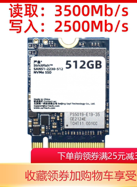 全新群联PS5019-E19T 2230固态硬盘NVMe M.2 SSD 256G512G1T 严鱼