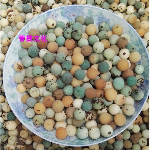 天然菩提子天然菩提子风化果