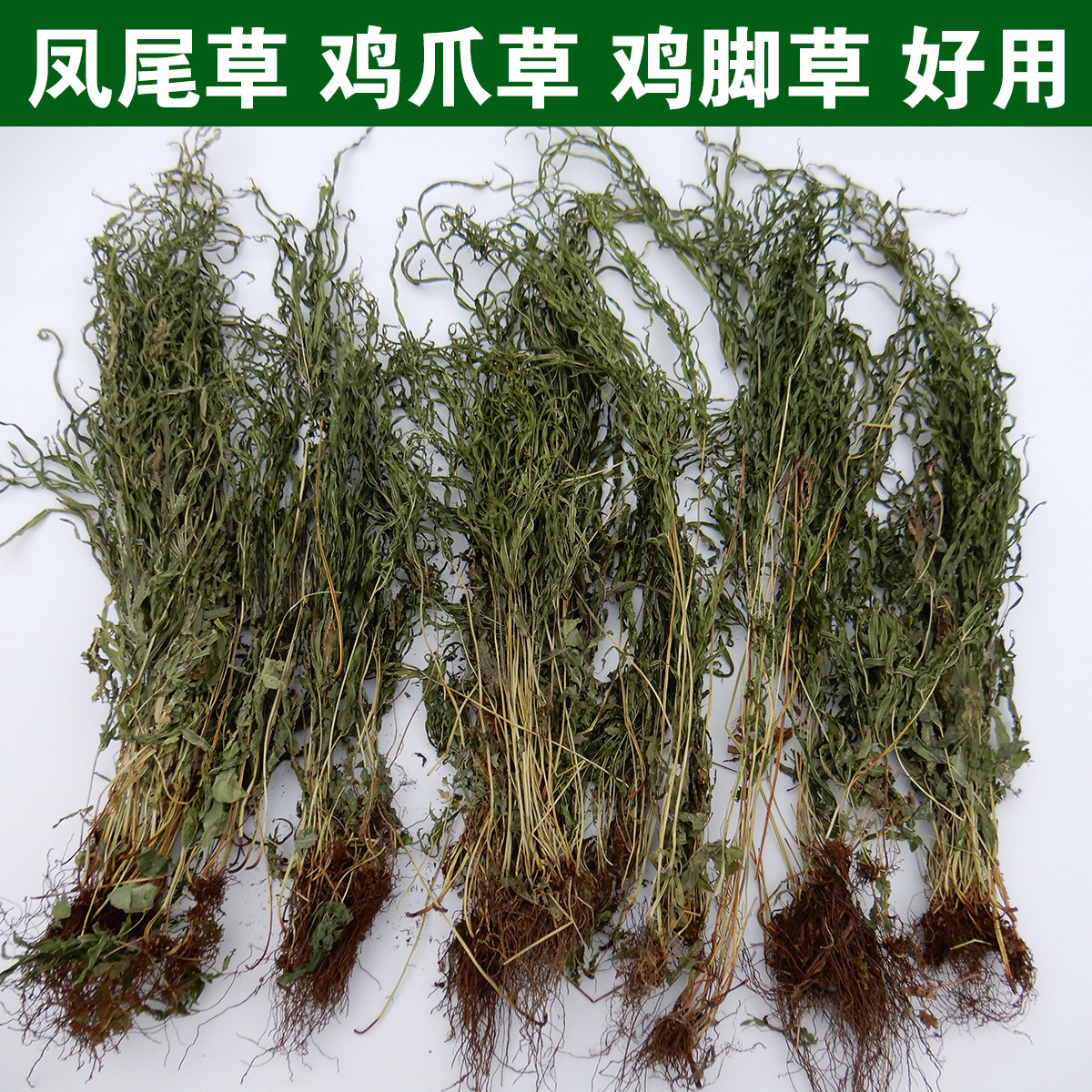 山村小叶凤尾草 鸡脚草 金鸡尾凤凰草井栏草鸡爪草干品包邮中药材