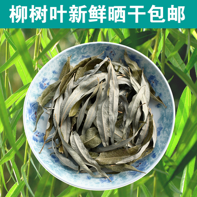 农家柳树叶中药材包邮